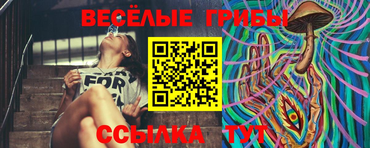 Галлюциногенные грибы мицелий Рузаевка